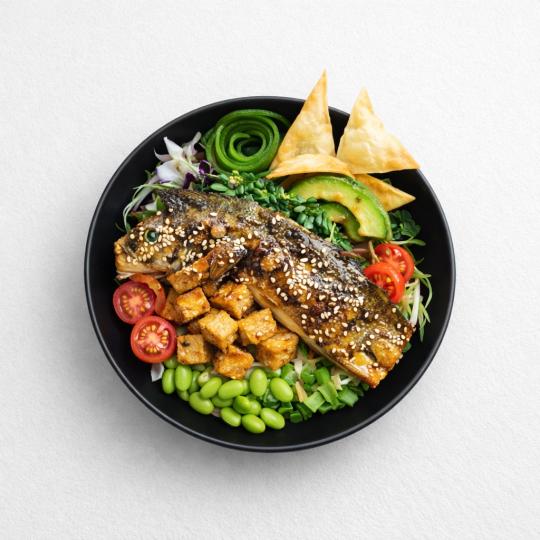 Miso Eggplant & Tempe