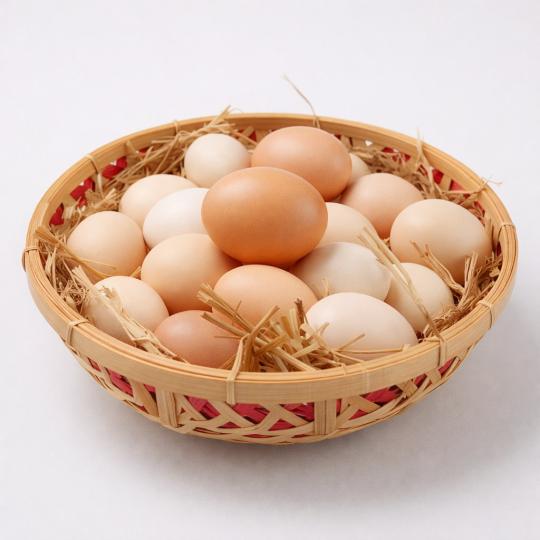 Free Range Egg