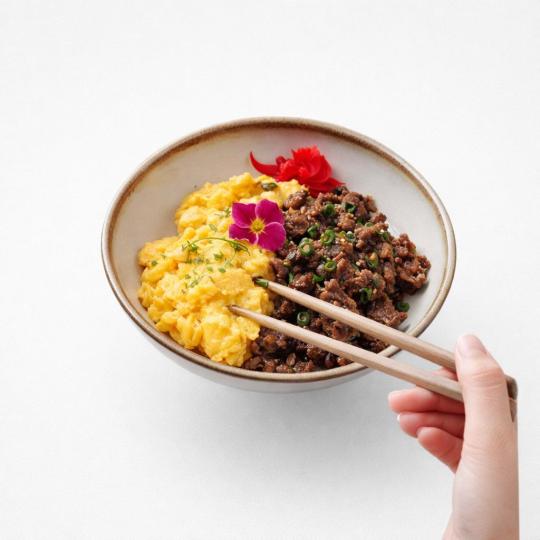 Beef Bowl